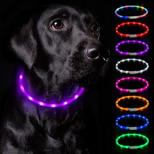 Nepfaivy Leuchthalsband Hund USB Aufladbar - Wasserdichtes Hundehalsband Leuchtend mit Verstellbarer Länge, LED Halsband für Hunde mit 3 Beleuchtungsmodi für Sicherheit, Lila von Nepfaivy