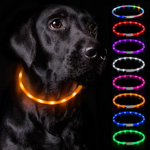Nepfaivy Leuchthalsband Hund USB Aufladbar - Wasserdichtes Hundehalsband Leuchtend mit Verstellbarer Länge, LED Halsband für Hunde mit 3 Beleuchtungsmodi für Sicherheit, Orange von Nepfaivy