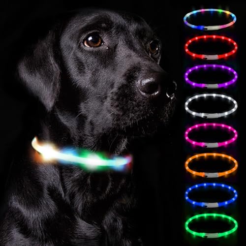 Nepfaivy Leuchthalsband Hund USB Aufladbar - Wasserdichtes Hundehalsband Leuchtend mit Verstellbarer Länge, LED Halsband für Hunde mit 3 Beleuchtungsmodi für Sicherheit, Regenbogen von Nepfaivy