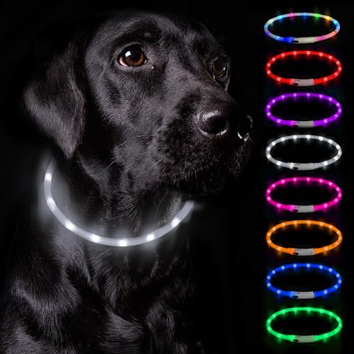 Nepfaivy Leuchthalsband Hund USB Aufladbar - Wasserdichtes Hundehalsband Leuchtend mit Verstellbarer Länge, LED Halsband für Hunde mit 3 Beleuchtungsmodi für Sicherheit, Weiß von Nepfaivy