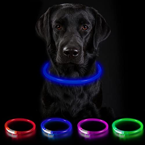 Nepfaivy Leuchthalsband für Hund USB Aufladbar - Leuchtendes Hundehalsband Wasserdicht mit 3 Beleuchtungsmodi, Längenverstellbareres LED Halsband für Große und Mittlere Hunde (Blau-B) von Nepfaivy