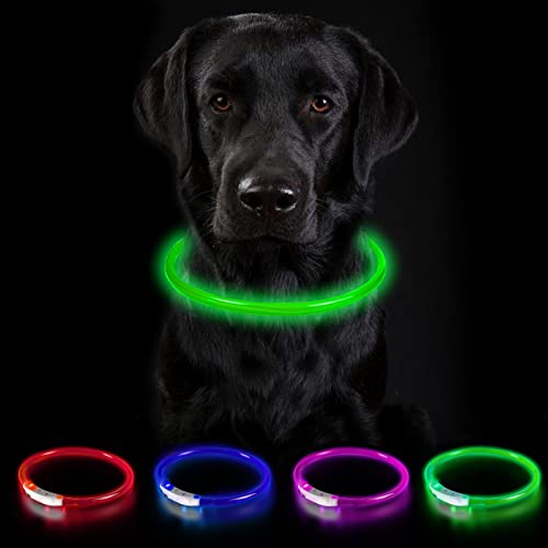 Nepfaivy Leuchthalsband für Hund USB Aufladbar - Leuchtendes Hundehalsband Wasserdicht mit 3 Beleuchtungsmodi, Längenverstellbareres LED Halsband für Große und Mittlere Hunde(Grün-B) von Nepfaivy