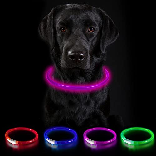 Nepfaivy Leuchthalsband für Hund USB Aufladbar - Leuchtendes Hundehalsband Wasserdicht mit 3 Beleuchtungsmodi, Längenverstellbareres LED Halsband für Große und Mittlere Hunde (Rosa-B) von Nepfaivy