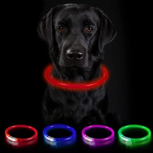 Nepfaivy Leuchthalsband für Hund USB Aufladbar - Leuchtendes Hundehalsband Wasserdicht mit 3 Beleuchtungsmodi, Längenverstellbareres LED Halsband für Große und Mittlere Hunde(Rot-B) von Nepfaivy