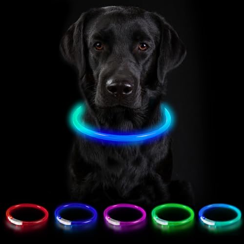 Nepfaivy Leuchthalsband Hund USB Aufladbar - Leuchtendes Hundehalsband Wasserdicht mit 3 Beleuchtungsmodi, Längenverstellbareres LED Halsband für Große und Mittlere Hunde(Regenbogen) von Nepfaivy