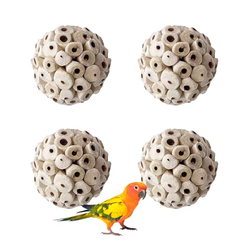 Nereds 4 x Vogelspielzeug Sola-Holzkugeln, natürliche Sola-Kugeln, Vogelkauspielzeug für Wellensittiche, Sittiche, Nymphensittiche Nereds 4 x Vogelspielzeug Sola-Holzkugeln, natürliche Sola-Kugeln, Vogelkauspielzeug für Wellensittiche, Sittiche, Nymphensittiche von Nereds