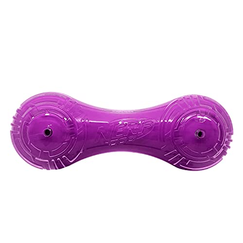 NERF Dog Scentology Hundespielzeug Rindfleisch Geruch Solid Core Hantel 18 cm NERF Dog Scentology Hundespielzeug Rindfleisch Geruch Solid Core Hantel 18 cm von Nerf Dog