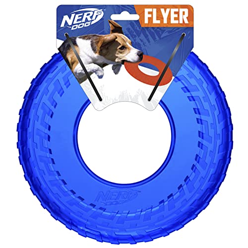 NERF Hundespielzeug, Transparenter TPR-Reifenflieger, 25,4 cm, Blau, für Hunde aller Größen, wetter- und wasserabweisend, ideal für Training und Mentale Stimulation von Nerf Dog