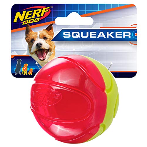 Nerf Dog Basketball Hundespielzeug mit interaktivem Quietscher, leicht, langlebig und wasserabweisend, 6,3 cm, für kleine und mittelgroße Rassen, Einzeleinheit, grün/rot von Nerf Dog