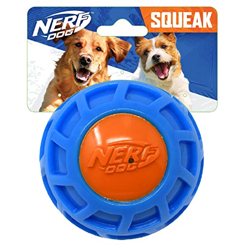 Nerf Dog Exo-Quietschball, TPR, 10,2 cm, Blau/Orange - Hundespielzeug-Ball für kleine, mittelgroße und große Rassen Nerf Dog Exo-Quietschball, TPR, 10,2 cm, Blau/Orange - Hundespielzeug-Ball für kleine, mittelgroße und große Rassen von Nerf Dog