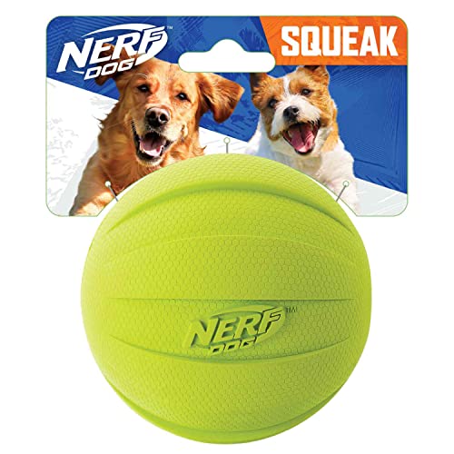 Nerf Dog Gummiball Hundespielzeug mit Quietscher, leicht, langlebig und wasserabweisend, 10,2 cm Durchmesser für mittelgroße Rassen, Einzeleinheit, grün von Nerf Dog
