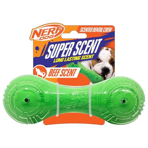 Nerf Dog Hundespielzeug, TPR/PP-Duft, Rind, super Duft, Langhantel, Solider Kern, 17,8 cm, Grün/Transparent von NERF