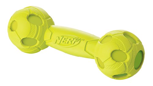 Nerf Dog Hundespielzeug Squeak Barbell, Hantel mit Quietscher, farblich sortierte Lieferung grün oder rot, 17,6cm von Nerf Dog