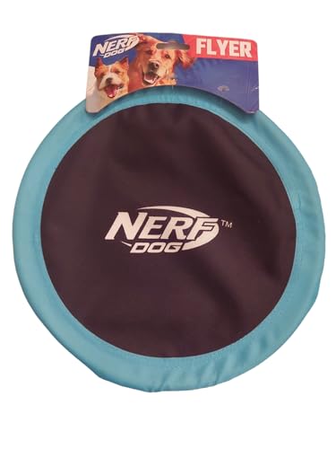 Nerf Dog Nylon Flyer Hundespielzeug, fliegende Scheibe, leicht, langlebig und wasserabweisend, ideal für Strand und Pool, 25,4 cm Durchmesser, für mittelgroße Rassen, Himmelblau und Schwarz von Nerf Dog