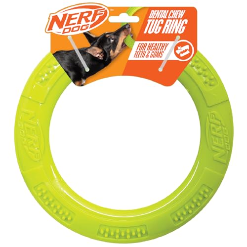 Nerf Dog Super Soaker Floating Ring, Spielzeug von Nerf Dog