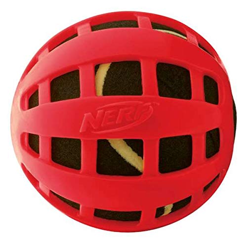 Nerf Dog TPR Float Tennis Ball - schwimmfähiger Tennisball in blau und rot medium 10cm von Nerf Dog