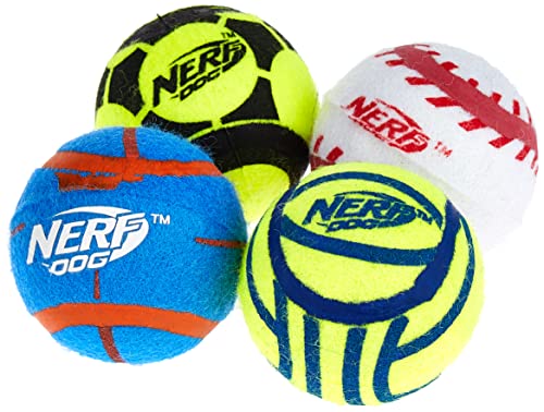 Nerf Dog Hundespielzeug Tennisbälle, maxi stark, massiver Ball für langen Spielspaß, ohne Squeaker, Durchmesser 6,4cm, 4er Pack von Nerf Dog