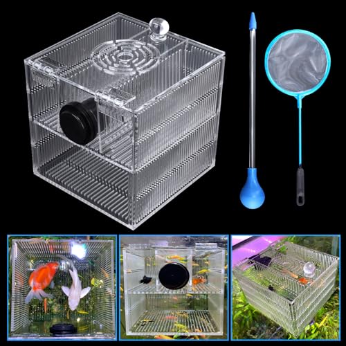 Magnetische Fischzuchtbox für Aquarium-Isolierung und Akklimatisierung – Brutkasten für Guppy, Betta, Garnelen und mehr von NestBasics