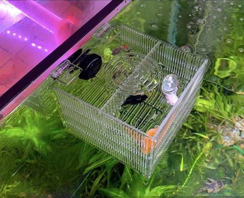 Magnetische Züchterbox für Aquarien, Isolationsbox, Ansammlung, Brutstätte, Fischzucht, Inkubator mit 3 Trennwänden, für Guppy Baby, Betta, Salzwasser, Anemonen oder verletzte Fische (versiegelte von NestBasics