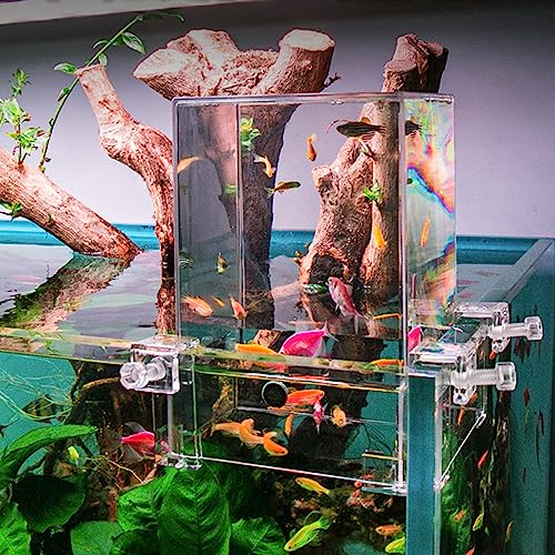 Wasserauffüller für Aquarien mit negativem Druck, automatisches Nachfüllen von NestBasics