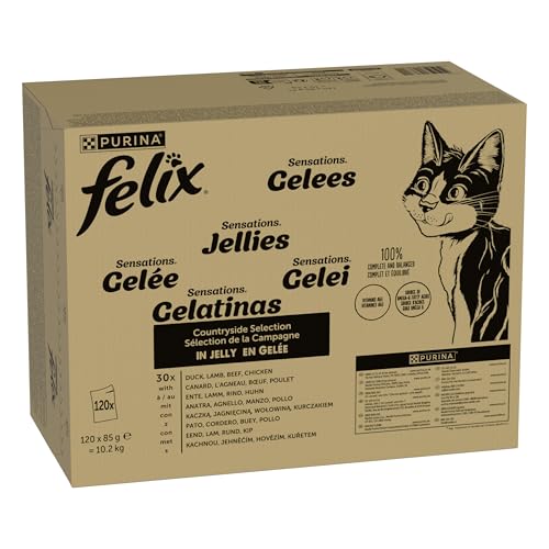 FELIX Sensations Gelees Katzenfutter nass in Gelee, Sorten-Mix, 120er Pack (120 x 85g) von Felix