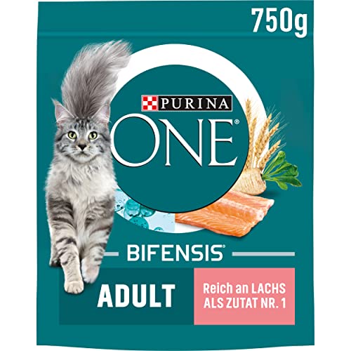 Nestle PURINA ONE BIFENSIS Adult Katzenfutter trocken, reich an Lachs, 6er Pack (6 x 750g) von ONE