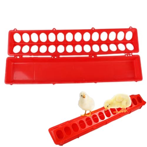 Hühnerfutterläder Großer Poly Flip Top pp Ppeon Trog 28 Loch für Geflügelküken, 51 x 12 cm rot von NethCasti