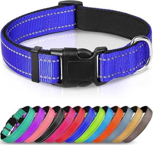 Nethins Reflektierendes, strapazierfähiges Nylon-Hundehalsband, verstellbare Schnellverschluss-Schnalle, Hundehalsbänder für kleine, mittelgroße und große Hunde Nethins Reflektierendes, strapazierfähiges Nylon-Hundehalsband, verstellbare Schnellverschluss-Schnalle, Hundehalsbänder für kleine, mittelgroße und große Hunde von Nethins