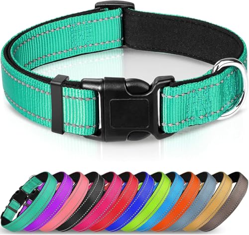 Nethins Reflektierendes, strapazierfähiges Nylon-Hundehalsband, verstellbare Schnellverschluss-Schnalle, Hundehalsbänder für kleine, mittelgroße und große Hunde Nethins Reflektierendes, strapazierfähiges Nylon-Hundehalsband, verstellbare Schnellverschluss-Schnalle, Hundehalsbänder für kleine, mittelgroße und große Hunde von Nethins