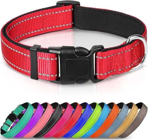 Nethins Reflektierendes, strapazierfähiges Nylon-Hundehalsband, verstellbare Schnellverschluss-Schnalle, Hundehalsbänder für kleine, mittelgroße und große Hunde Nethins Reflektierendes, strapazierfähiges Nylon-Hundehalsband, verstellbare Schnellverschluss-Schnalle, Hundehalsbänder für kleine, mittelgroße und große Hunde von Nethins