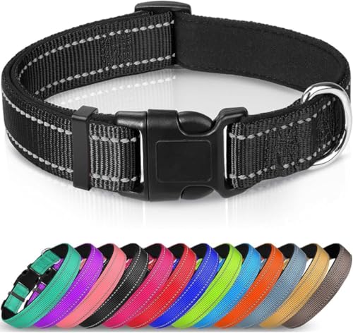 Nethins Reflektierendes, strapazierfähiges Nylon-Hundehalsband, verstellbare Schnellverschluss-Schnalle, Hundehalsbänder für kleine, mittelgroße und große Hunde Nethins Reflektierendes, strapazierfähiges Nylon-Hundehalsband, verstellbare Schnellverschluss-Schnalle, Hundehalsbänder für kleine, mittelgroße und große Hunde von Nethins