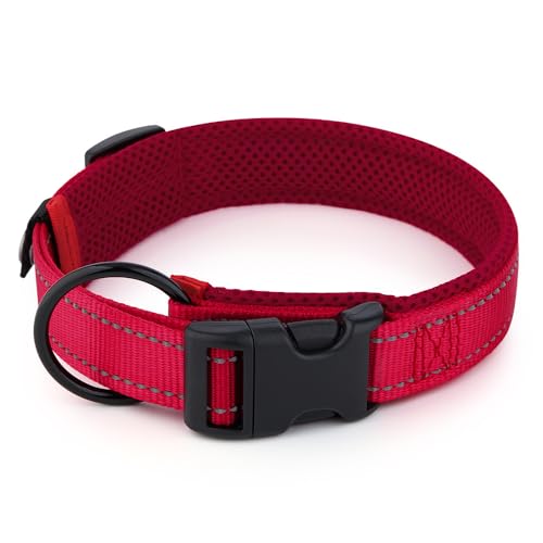Nethins Reflektierendes Nylon-Hundehalsband mit Schnellverschluss-Schnalle, Netz-gepolstert, verstellbar, für kleine, mittelgroße und große Hunde Nethins Reflektierendes Nylon-Hundehalsband mit Schnellverschluss-Schnalle, Netz-gepolstert, verstellbar, für kleine, mittelgroße und große Hunde von Nethins
