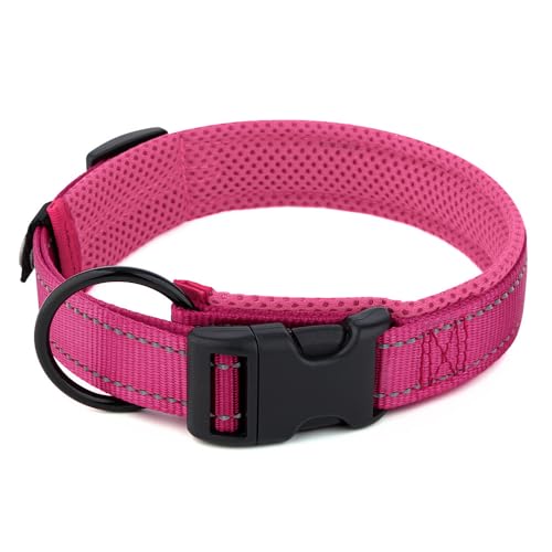 Nethins Reflektierendes Nylon-Hundehalsband mit Schnellverschluss-Schnalle, Netz-gepolstert, verstellbar, für kleine, mittelgroße und große Hunde Nethins Reflektierendes Nylon-Hundehalsband mit Schnellverschluss-Schnalle, Netz-gepolstert, verstellbar, für kleine, mittelgroße und große Hunde von Nethins