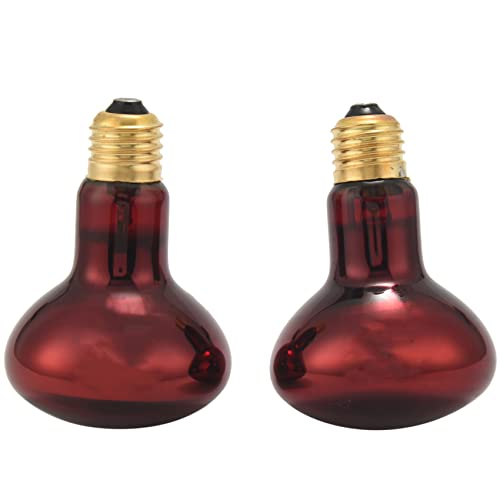 Nettoppo 100W 2 Pack Infrarot WäRme Lampe GlüHbirne Rot Licht GlüHbirne für Eidechsen Bartagamen ChamäLeons Schlangen Reptilien & Amphibien 220V von Nettoppo
