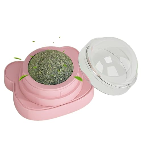 Catnip Toys - Catnip Wandbällchen, interaktive Katzenspielzeugkatze | Rotatable Kätzchen Wandspielzeugpatnip -Kugeln, leckbare kaute rotbare Katzenspielzeug, Zähneputzkatnipkugel für kleine, mitt Catnip Toys - Catnip Wandbällchen, interaktive Katzenspielzeugkatze | Rotatable Kätzchen Wandspielzeugpatnip -Kugeln, leckbare kaute rotbare Katzenspielzeug, Zähneputzkatnipkugel für kleine, mitt von NevPuose