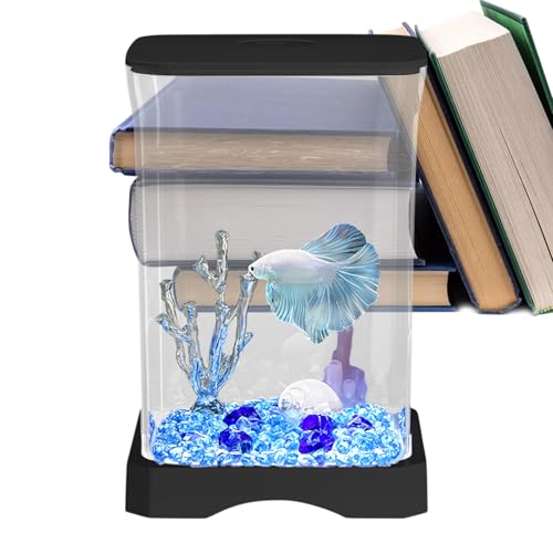 Fisch Showcase Container - Elegante Ansicht Wasserkugel, Tischplattenbox | Dekoratives LED -Displaybecken, kompaktes Betta -Lebensraum, Innenschalentank, Apartment -Ecke -Display, stilvolle Theke Deko von NevPuose