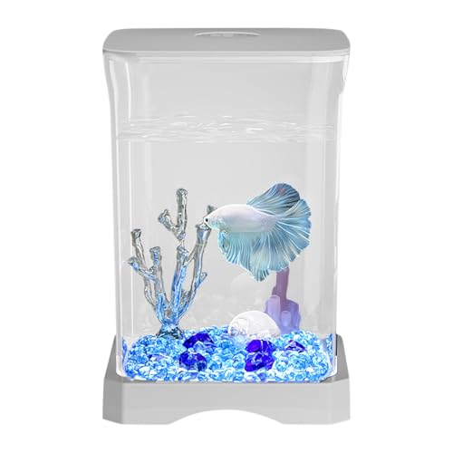 Fisch Showcase Container - Elegante Ansicht Wasserkugel, Tischplattenbox | Dekoratives LED -Displaybecken, kompaktes Betta -Lebensraum, Innenschalentank, Apartment -Ecke -Display, stilvolle Theke Deko von NevPuose