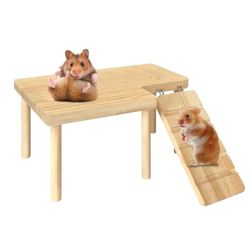 Hamstertreppe - Hamsterhaus Kletterleiter Hamster Spielzeugplattform Treppe, Hamster Käfigzubehör Hamster Suspension Plattform Spielzeug | Langkletterleiter Hamster -Plattformspielzeug für kleine Haus von NevPuose