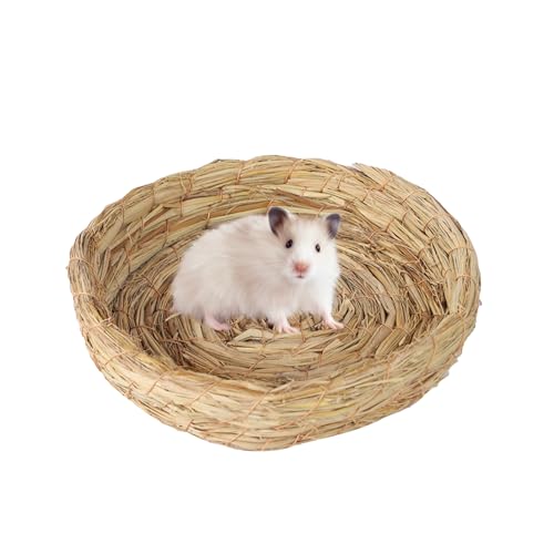 Natural Bird Hut - Kokosnussschalen -Vogelhaus, Gemütliches Nistbett | Rattan Stroh Swing Nest Für Shotet Cockatiel Conure Finch, Zuchtunterkunft Für Vishu -Setup, Warm Natural Bird Hut - Kokosnussschalen -Vogelhaus, Gemütliches Nistbett | Rattan Stroh Swing Nest Für Shotet Cockatiel Conure Finch, Zuchtunterkunft Für Vishu -Setup, Warm von NevPuose