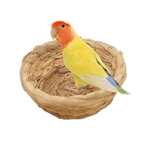 Natural Bird Hut - Kokosnussschalen -Vogelhaus, Gemütliches Nistbett | Rattan Stroh Swing Nest Für Shotet Cockatiel Conure Finch, Zuchtunterkunft Für Vishu -Setup, Warm Natural Bird Hut - Kokosnussschalen -Vogelhaus, Gemütliches Nistbett | Rattan Stroh Swing Nest Für Shotet Cockatiel Conure Finch, Zuchtunterkunft Für Vishu -Setup, Warm von NevPuose