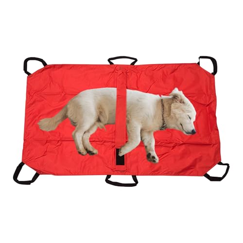 NevPuose Hundetrage,Kleintiertransporttrage - Klappbare Tierliege Mit Sicherheitsgurtsystem Für Welpen Kaninchen NevPuose Hundetrage,Kleintiertransporttrage - Klappbare Tierliege Mit Sicherheitsgurtsystem Für Welpen Kaninchen von NevPuose