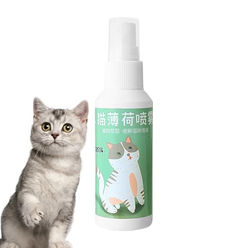 Wild Cat Lockant - Kräuterstreuen, Getrocknetes Minzblatt | Zerkleinerte Botanische Mischung, Katzenanreicherungspulver, Haustierinfusion Auf Pflanzenbasis, Duftender Grasbeutel Für Sensorisches Engag Wild Cat Lockant - Kräuterstreuen, Getrocknetes Minzblatt | Zerkleinerte Botanische Mischung, Katzenanreicherungspulver, Haustierinfusion Auf Pflanzenbasis, Duftender Grasbeutel Für Sensorisches Engag von NevPuose