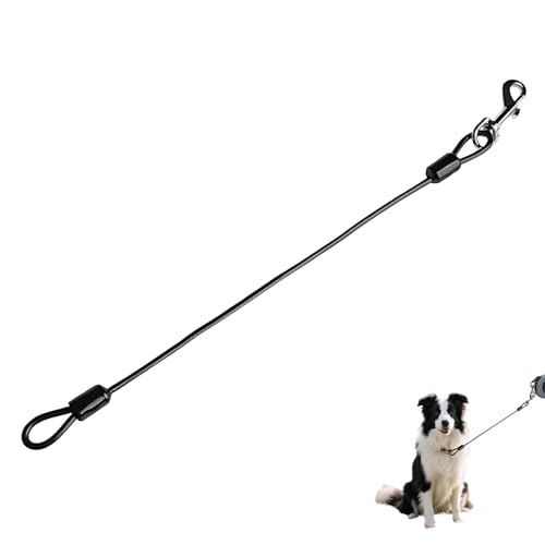Nevoluxer Hausleine Für Hunde Bissfest – Robuste Hundeleine Aus Metall Für Große Und Kleine Hunde – Kausichere Kettenleine Zum Gassi Und Training – 48 cm Lang, Chew Proof Design von Nevoluxer