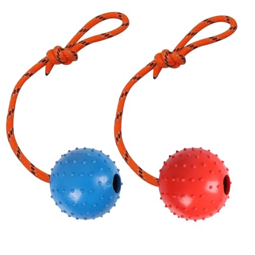 Nevperish Hundeball, K9-Ball, Vollgummiball am Seil für Belohnung, Apportieren, Spielen (blau und rot), 2 Stück von Nevperish