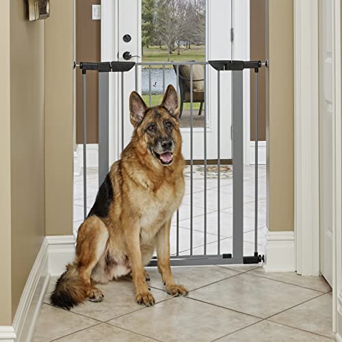 New World B2939SGY Hunde-Absperrgitter aus Stahl, druckmontiertes Haustiertor, schützt Wände und Türrahmen, kein Werkzeug nötig, 99 x 75–97 cm (L x B), hellgrau von New World
