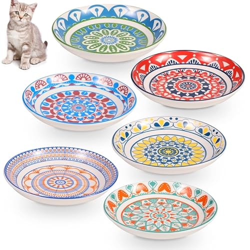 6 Stück Katzennäpfe Flach Keramik, Keramik Futternapf Katze Napf, Bunt Flache Katzenteller für Futter und Wasser Katzenschüssel Kleine Tier Hunde von Newofview