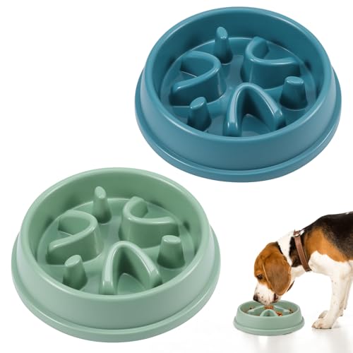 2 Stück Anti Schling Napf Hund, 21X4,5cm Antischlingnapf Hunde Slow Feeder Hund Langsame Fressen Futternapf für Kleine Bis Mittel Große Hunde Katze von Newofview