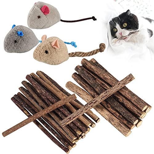 Newoutset 33 STK Katzenminze Sticks, Katzenminzen Spielzeug, Katzenspielzeug, Katzen Kaustäbchen (einschließlich 3 x Katzenmausspielzeug), Matatabi Katzen Kauspielzeug Zahnpflege Sticks von Newoutset