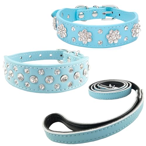 Newtensina 3 Stücke Hundehalsband und Leine Set Diamanti Blume Hundehalsband mit Leinen für kleine Hunde - Blau - M Newtensina 3 Stücke Hundehalsband und Leine Set Diamanti Blume Hundehalsband mit Leinen für kleine Hunde - Blau - M von Newtensina