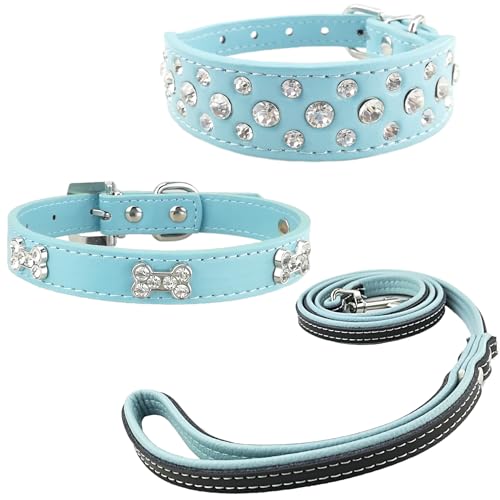 Newtensina 3 Stücke Hundehalsband und Leine Set Diamanti Knochen Hundehalsband mit Leinen für kleine Hunde - Blau - M von Newtensina